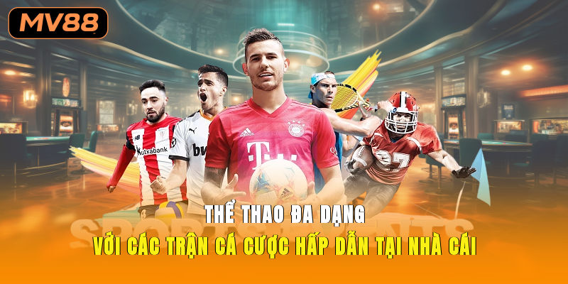 Thể thao đa dạng với các trận cá cược hấp dẫn tại nhà cái